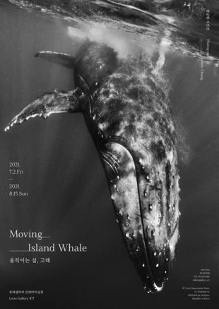La isla que se mueve, la ballena - Korean Culture