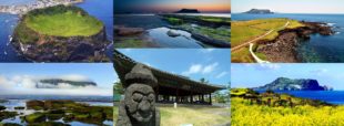 Jeju Island: Customized Private Full-Day Van Tour