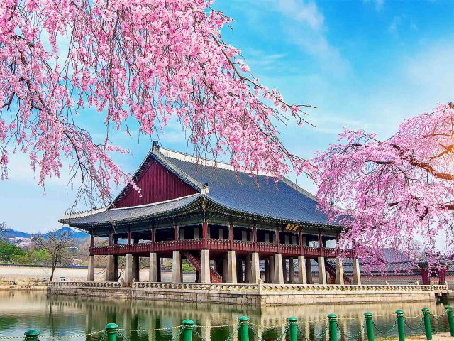 Descubre Corea del Sur: Tu destino acogedor y seguro para viajar